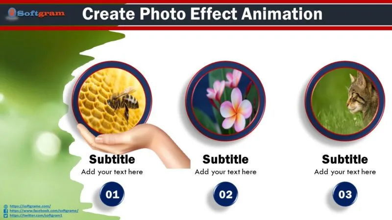 Create Animated Photo Effect